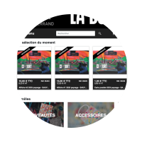 Vue du site français de la boutique en ligne en médaillon