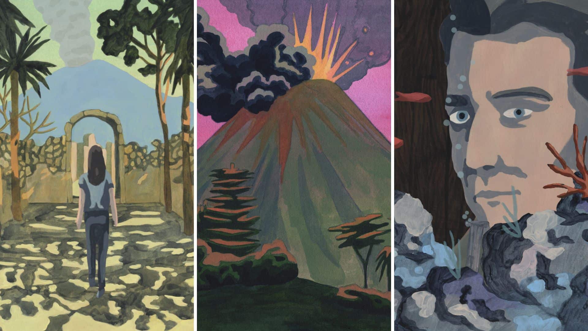 montage-illustrations-marie-larrive