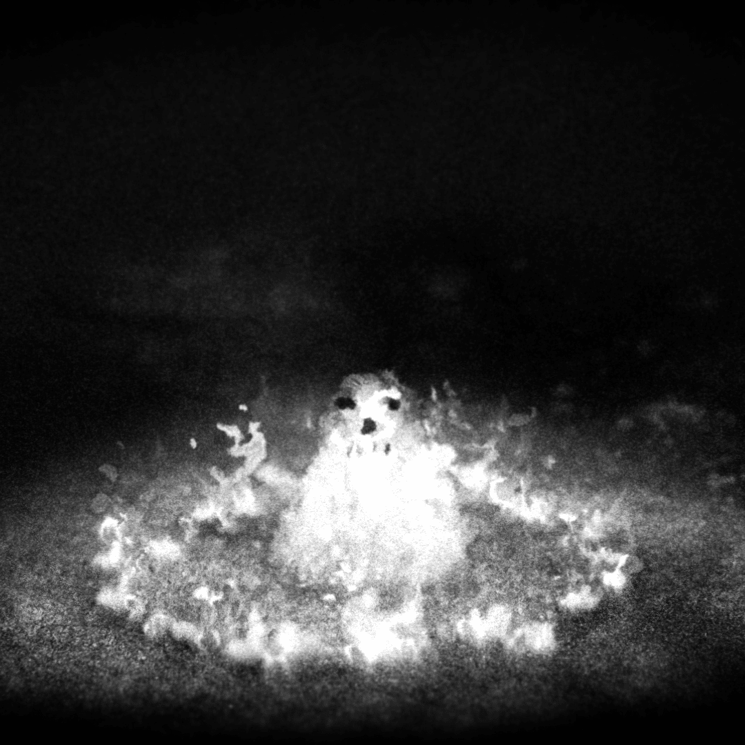 Vignette illustrant le programme L2 du festival 2025