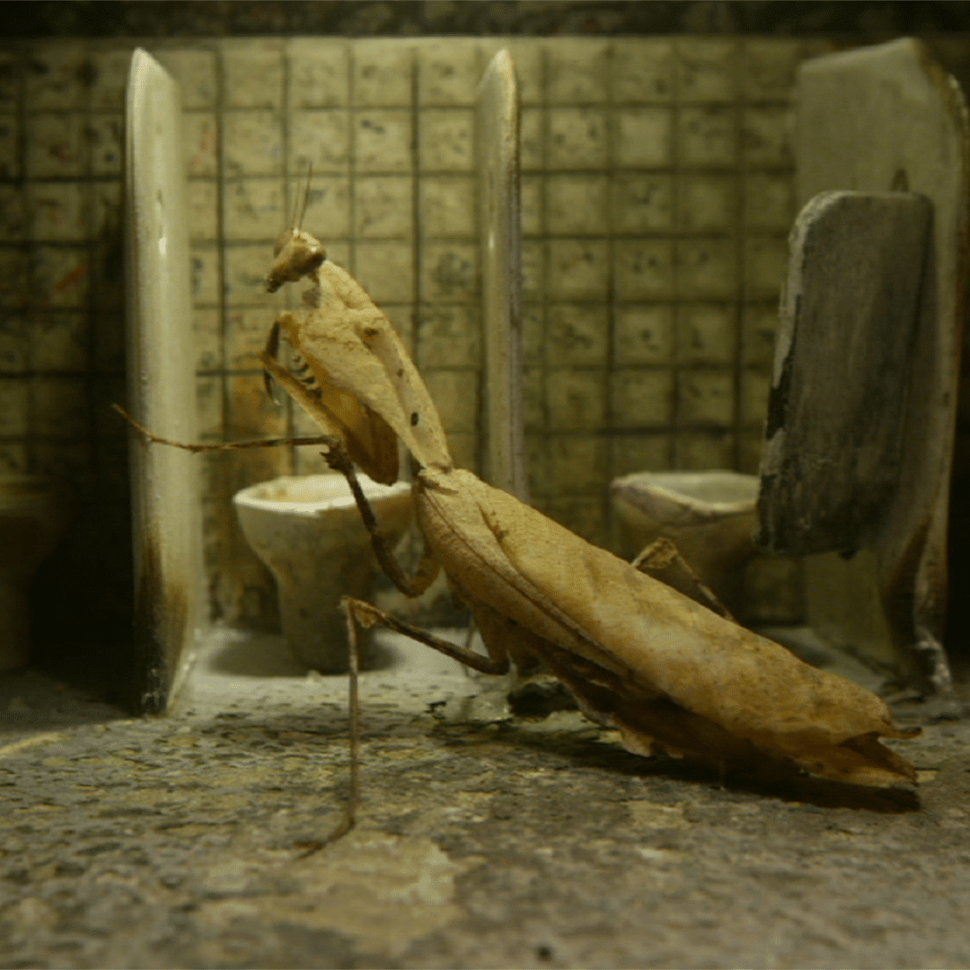 Vignette illustrant le programme L4 du festival 2025